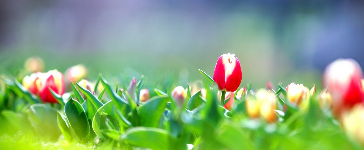 キービジュアルイメージ01